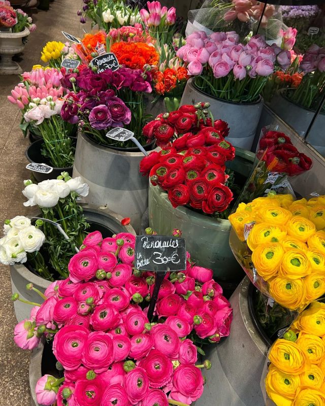Hope Springs Eternal.Pictured here, ranunculus in all their glory. And asparagus. Specifically white asparagus which is my absolute fave and very overpriced in the States.
Despite garbage and riots, Paris remains a bastion of beauty and hope. I love cruising the markets here.Who can resist?#springflowers#springproduce#parisinspring#hopespringseternal#saintjamesparis#frenchstyle# @dkfarnum.com